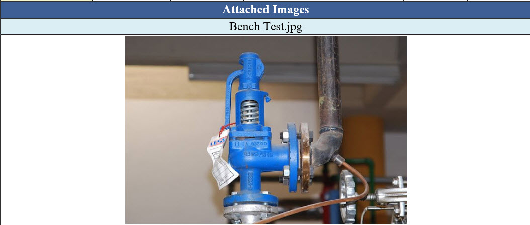 INSPECT Pressure Relieving Device Reports Can Contain PRD Images