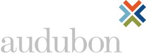Audubon Logo